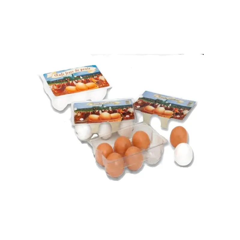 Boîte de 6 oeufs POLLY 6607