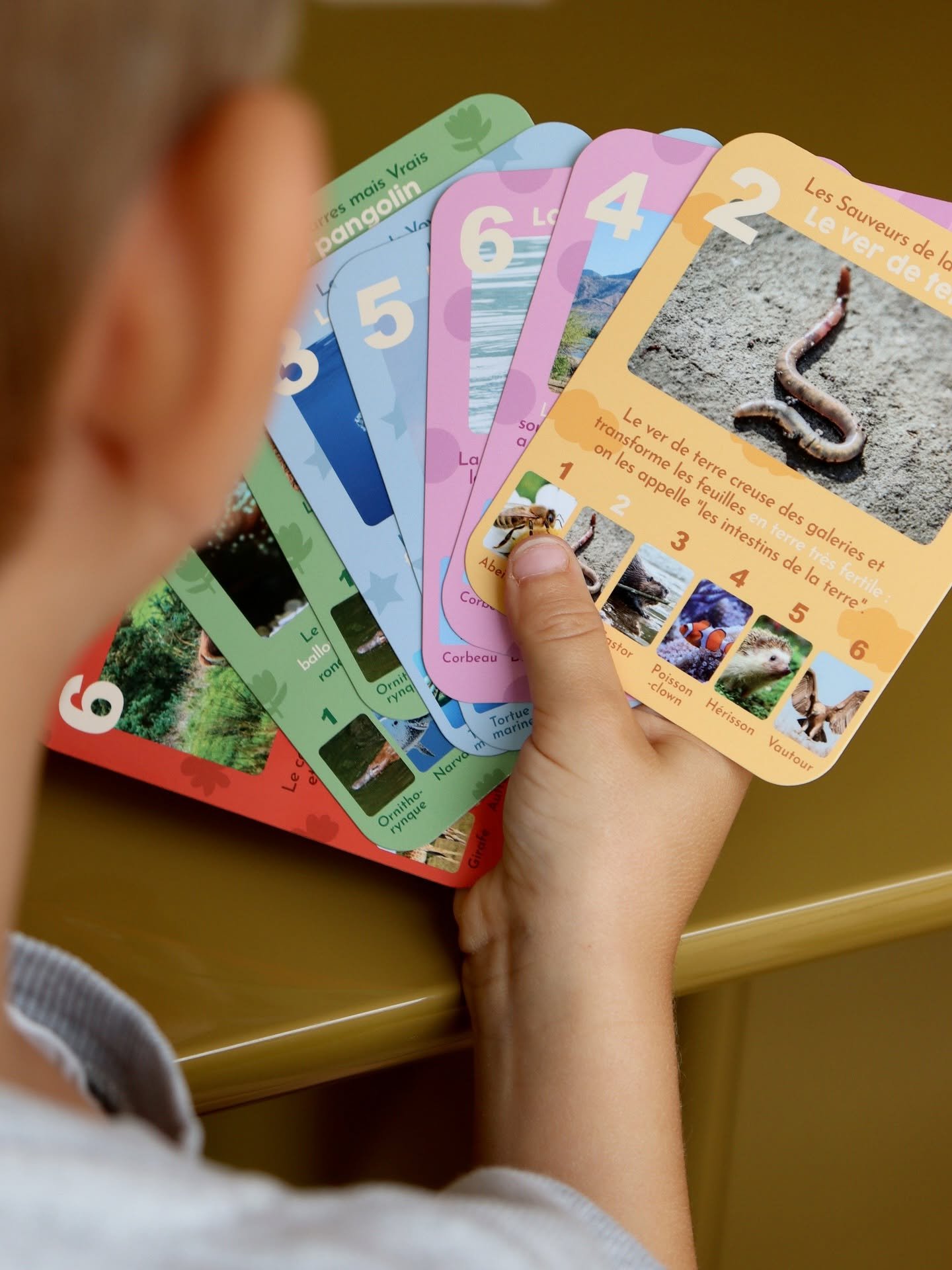 Enfant tenant une série de cartes de jeu colorées, montrant des photos.
