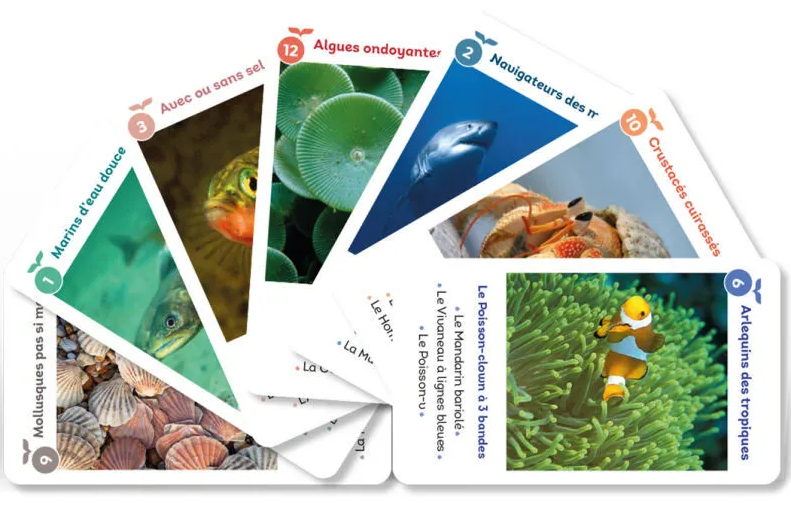 Jeu de cartes pédagogique avec des segments illustrés d’animaux marins et de coraux colorés.