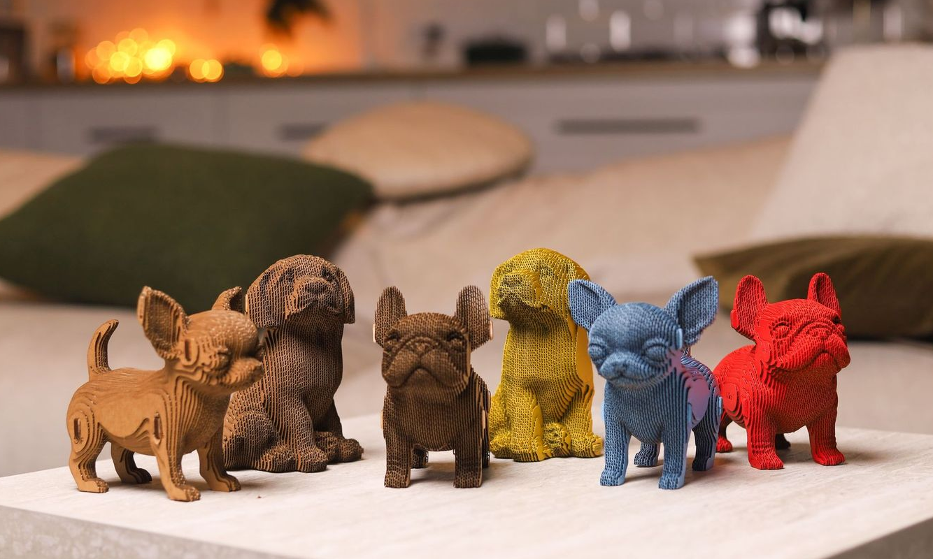 Maquette 3D carton Cartonic : idée cadeau dès 14 ans